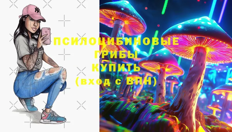 ОМГ ОМГ ССЫЛКА  наркошоп  Бежецк  Псилоцибиновые грибы Psilocybe 